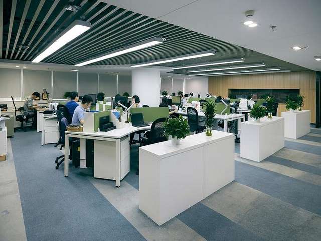 湖南新型不锈钢猫笼联系方式