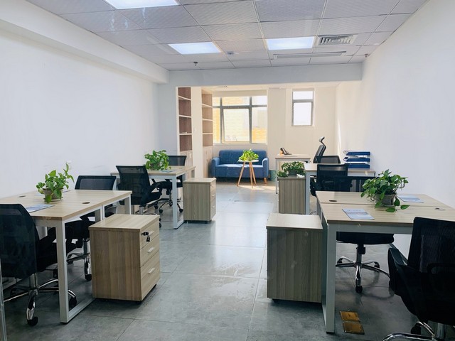 上海鼠尾胶原生产厂家