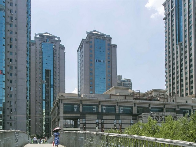 市南区课程设置合理的选调生公基老师